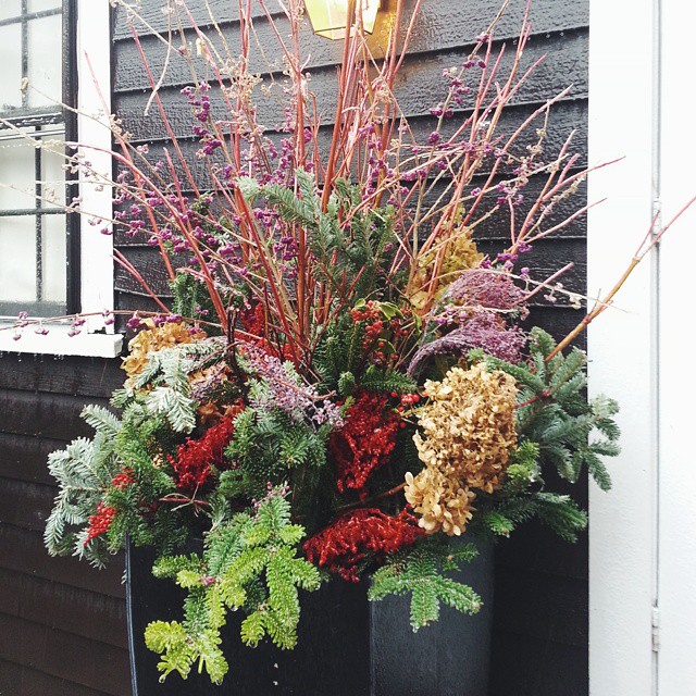 Decorate Your Entryway for the Holidays - Longfield Gardens.jpg